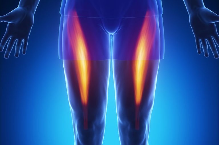 What Muscles Do Recumbent Bikes Work? Cycling Target Areas For 2023