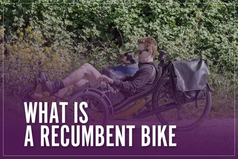 What Is A Recumbent Bike? Definition, Use For Adults & Advantages 2023