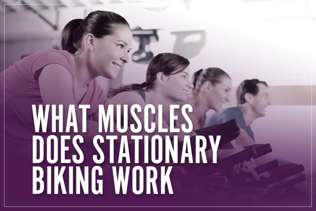 What Muscles Does Stationary Biking Work & Other Cycling Benefits 2023